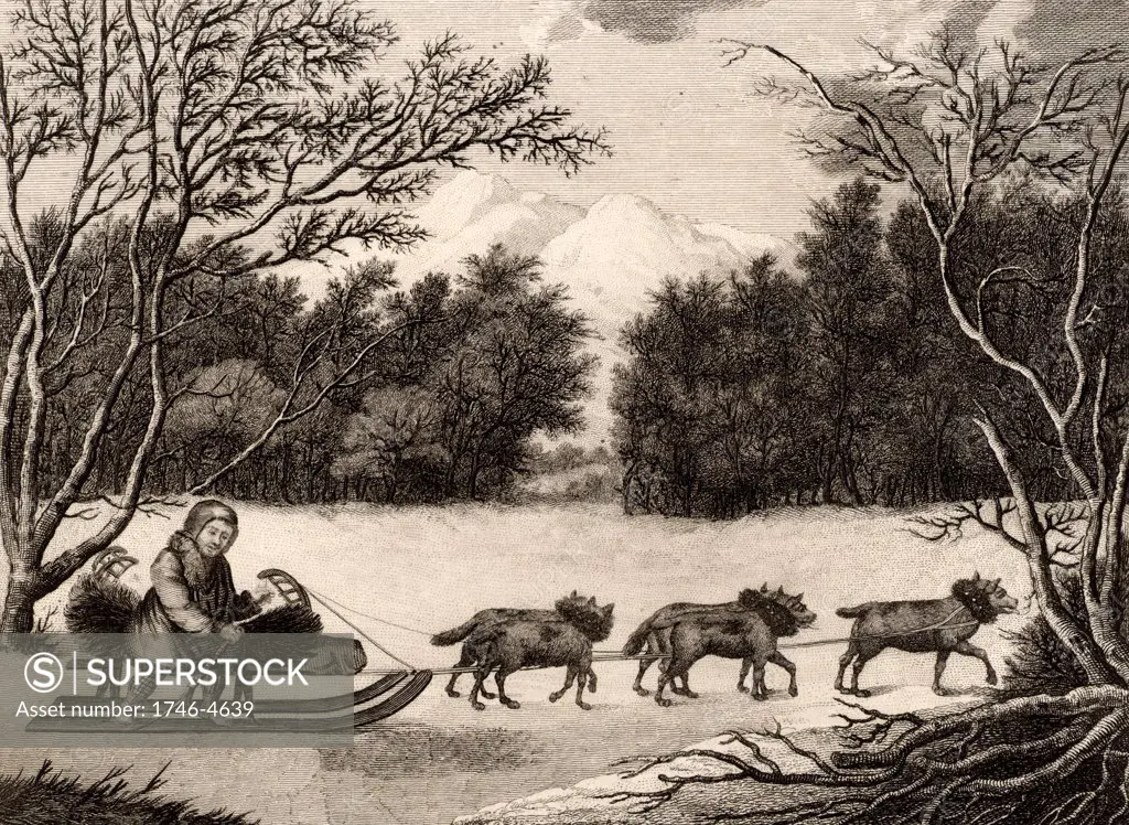 A Man of Kamtschatka Travelling in Winter'.  This man from the people ot the Kamtschatka Peninsula, Russian Far East, is dressed in animal skins and is travelling through a wooded winter landscape in a sledge pulled by a team of dogs.  Engraving from Captain Cook's Original Voyages Round the World (Woodbridge, Suffolk, c1815).