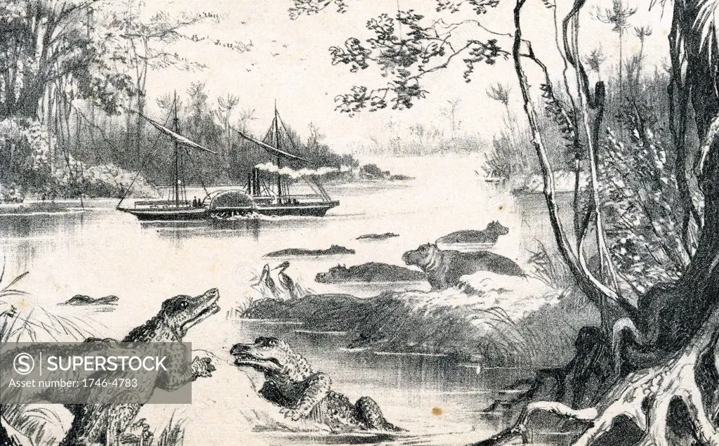 David Livingstone (1813-1873) Scottish missionary and African explorer. Livingstone's steamer 'Ma-Robert' on a crocodile infested Zambesi River. From The Life and Explorations of David Livingstone c1878. Tinted lithograph