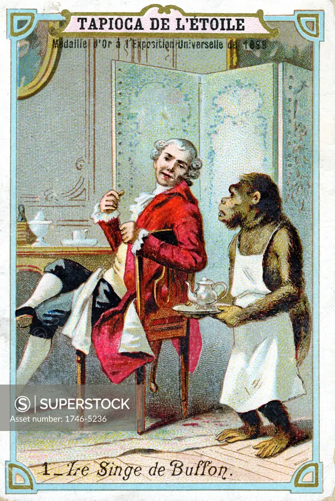 Georges-Louis Leclerc, Comte de Buffon (1707-88) French naturalist, being waited on by his trained chimpanzee. French trade card issued c1890. Chromolithograph.