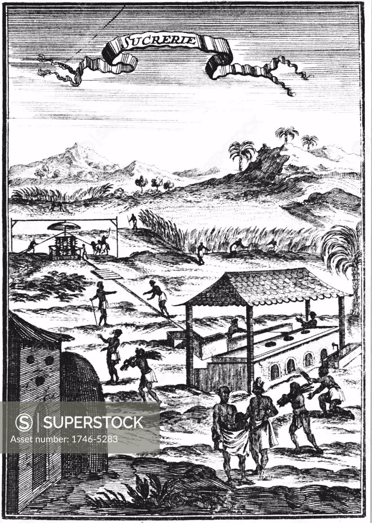 Sugar factory and plantation in the West Indies. Copperplate engraving from Allain Manesson Mallet Description de l'Univers ƒ Frankfurt-am-Main 1686. Cane crushed in horse or mule-powered mill with vertical rollers, centre left, juice gravity-fed to tanks by boiling house. Engraving.