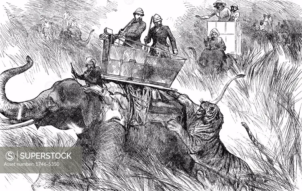 Edward, Prince of Wales (Edward VII from 1901) shooting tiger during his state visit to India in 1876. Engraving