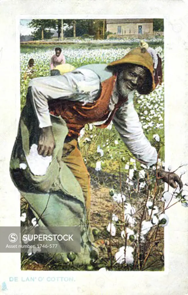 Laborers picking cotton, USA, Postcard, c. 1900