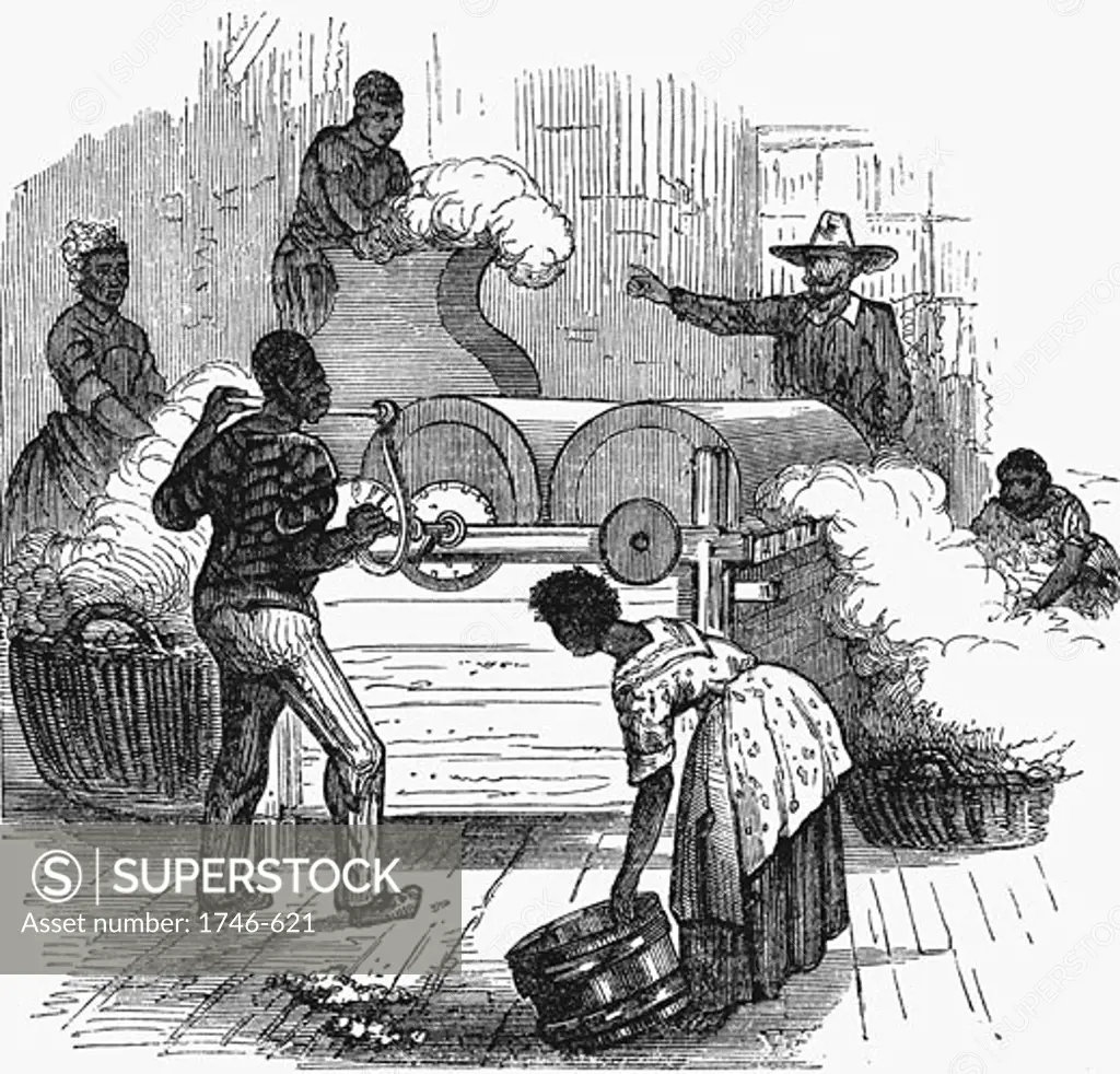 Putting cotton bolls through whipping press before putting it through a saw gin. Slave plantation labour in southern states of America. Woodcut 1860