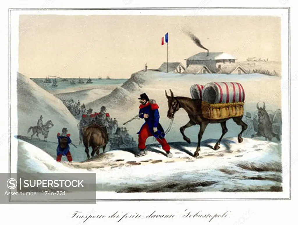 Siege of Sevastopol, French mule train evacuating the wounded, Crimean War 1853-1856, c.1867, Hand-finished Lithograph