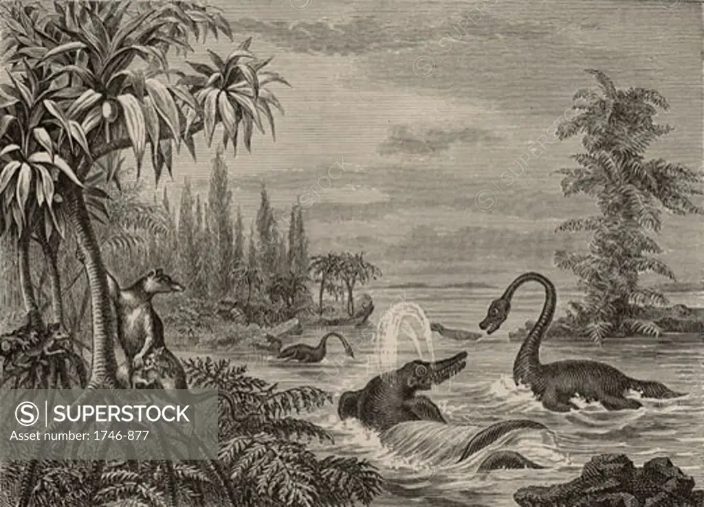 Scene during the Lower Oolite period showing reconstructions of Ichthyosaurus, Plesiosaurus and a Marsupial, From The Popular Encyclopaedia (London, 1888), Engraving