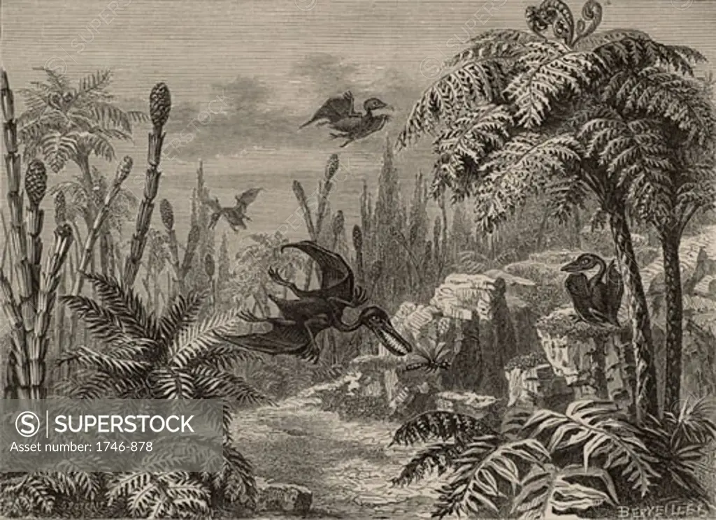 Scene during the Lias period, showing Pterodactyls, a dragonfly, Equisetums, and Tree Ferns, From The Popular Encyclopaedia (London, 1888), Engraving