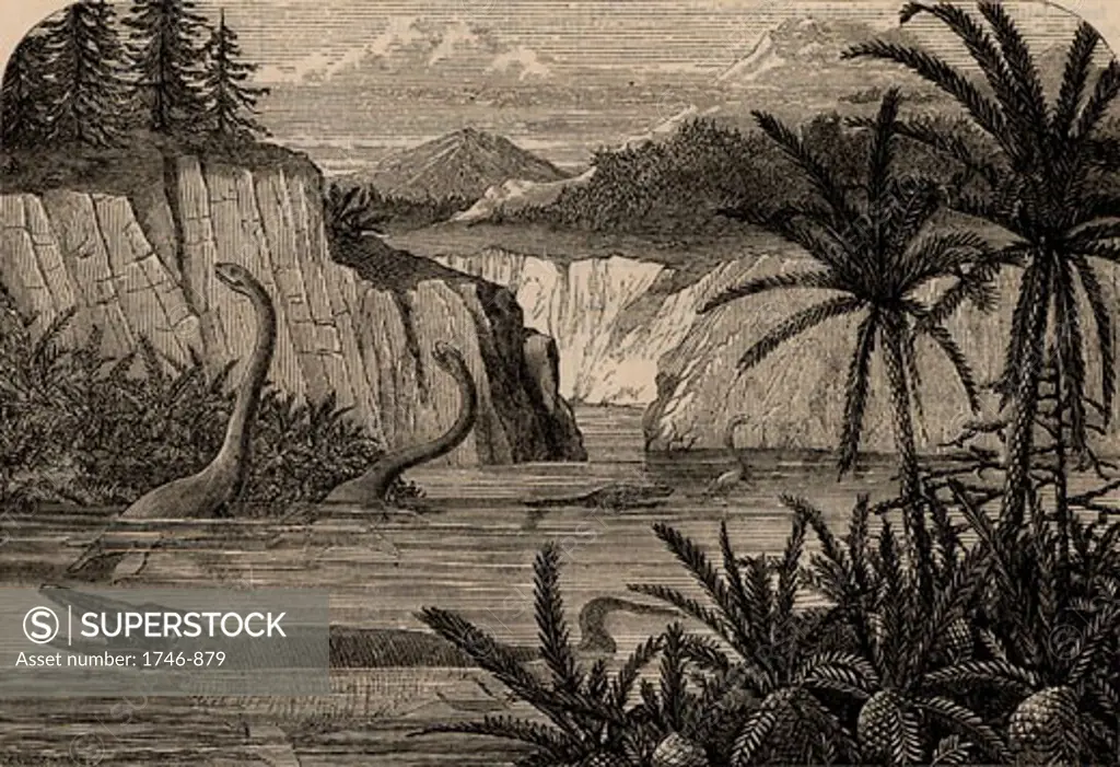 Ideal flora and fauna of the Liassic period including Ichthyosaurus and Plesiosaurus, From The Popular Educator (London, c1855), Engraving