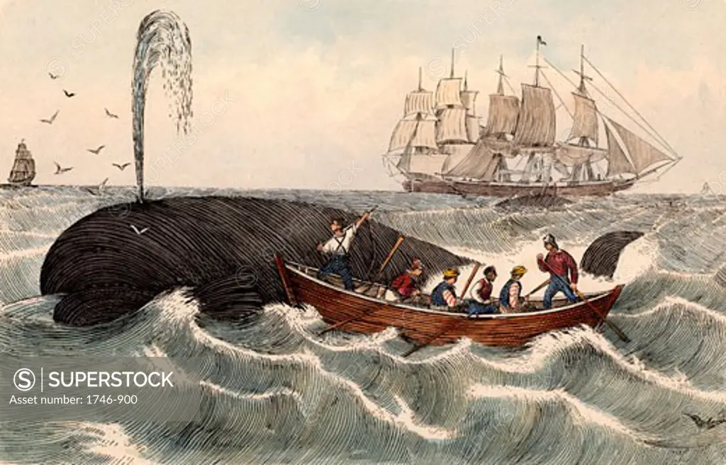 Harpooning a Whale Mid-19th Century Hand-coloured engraving