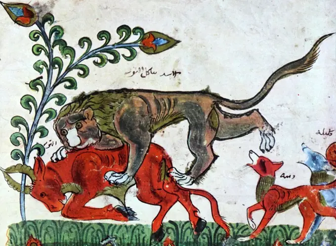 Arab illustration of the Lion Pingalaka is one of the Panchatantra, an ancient Indian inter-related collection of animal fables in verse and prose. The original Sanskrit work, which some scholars believe was composed in the 3rd century BCE. A New Persian version from the 12th century became known as Kalleh o Demneh. The book in different form is also known as The Fables of Bidpai. 13th century