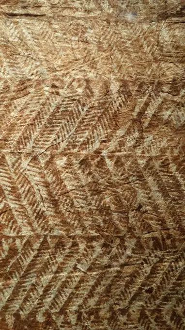 Siapo Tasina (Bark Cloth) from Samoa in the pacific Islands. Mid 19th century made from beaten bark