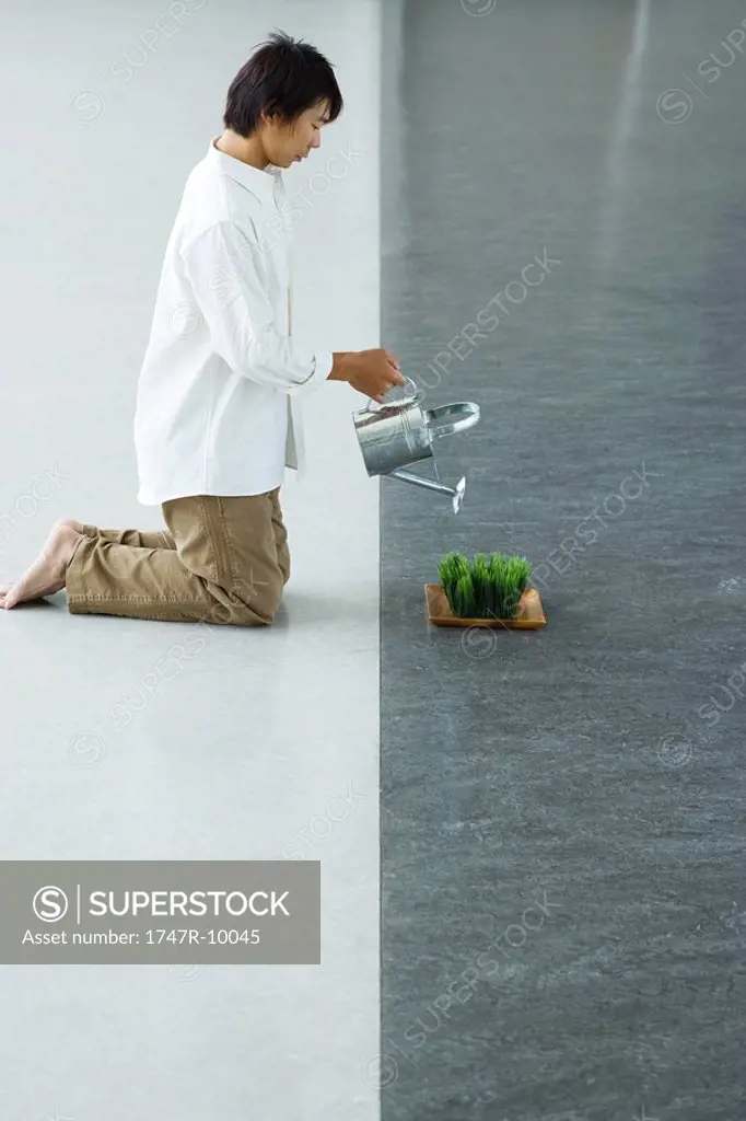 Man kneeling on the ground, watering tray of wheatgrass