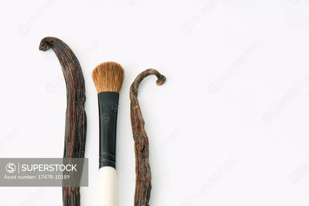 Vanilla pods and make-up brush, close-up