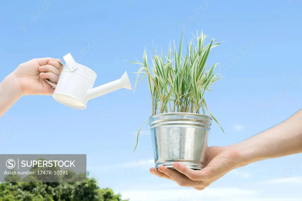 Adult hand holding out plant while child´s hand holds up small watering can