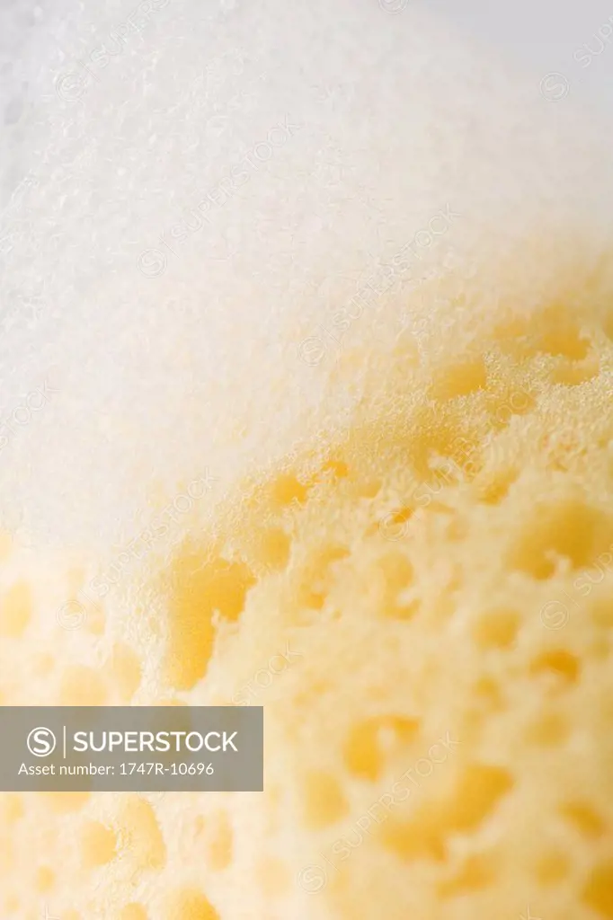 Sponge and soap suds, extreme close-up