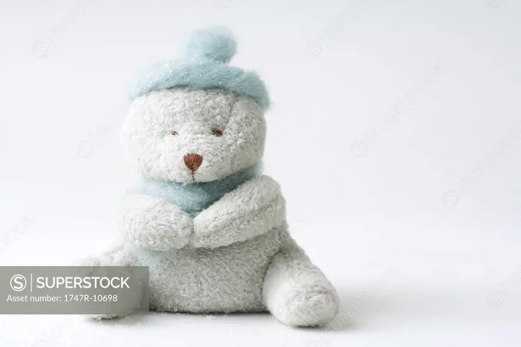 Teddy bear wearing hat, missing one eye