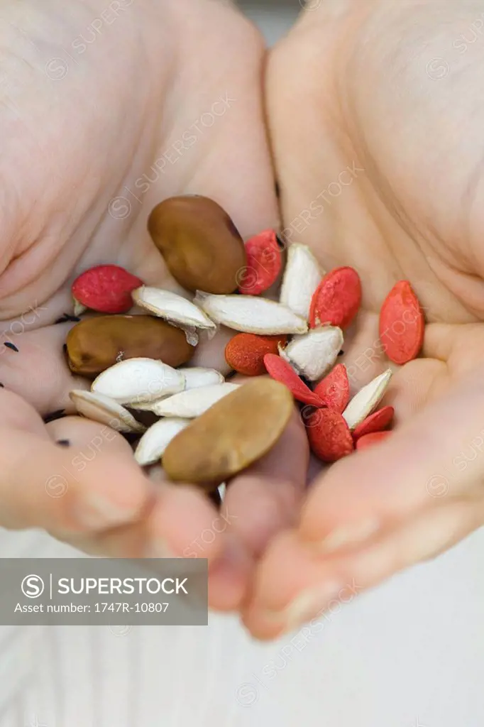 Cupped hands holding variety of seeds