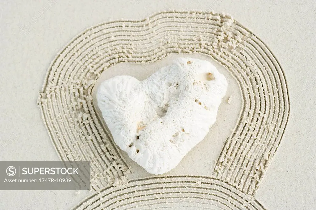 Heart-shaped coral outlined by raked sand