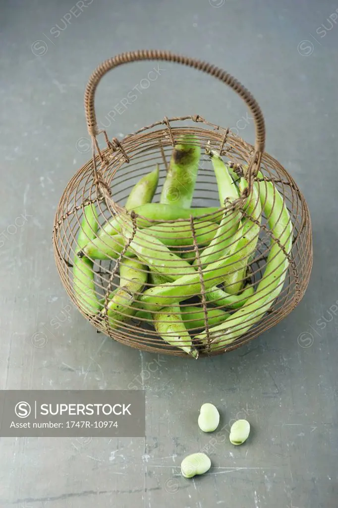 Broad beans in wooden basket