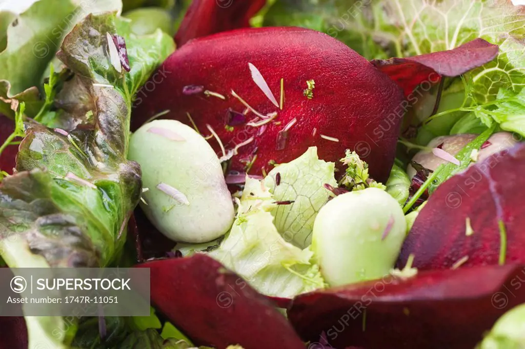 Salad of mixed greens and beets, close-up