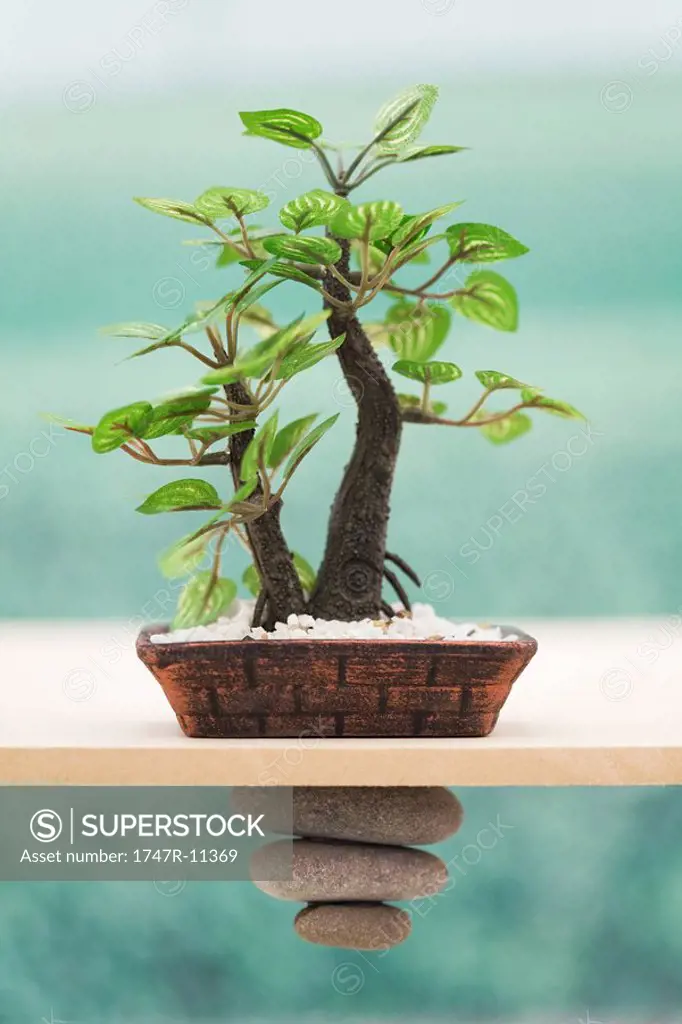 Potted plant set on wood railing with small stones stacked inversely from beneath rail, close-up