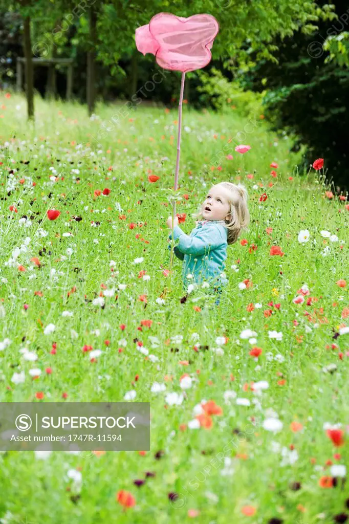 Little girl holding up butterfly net, standing in field of flowers