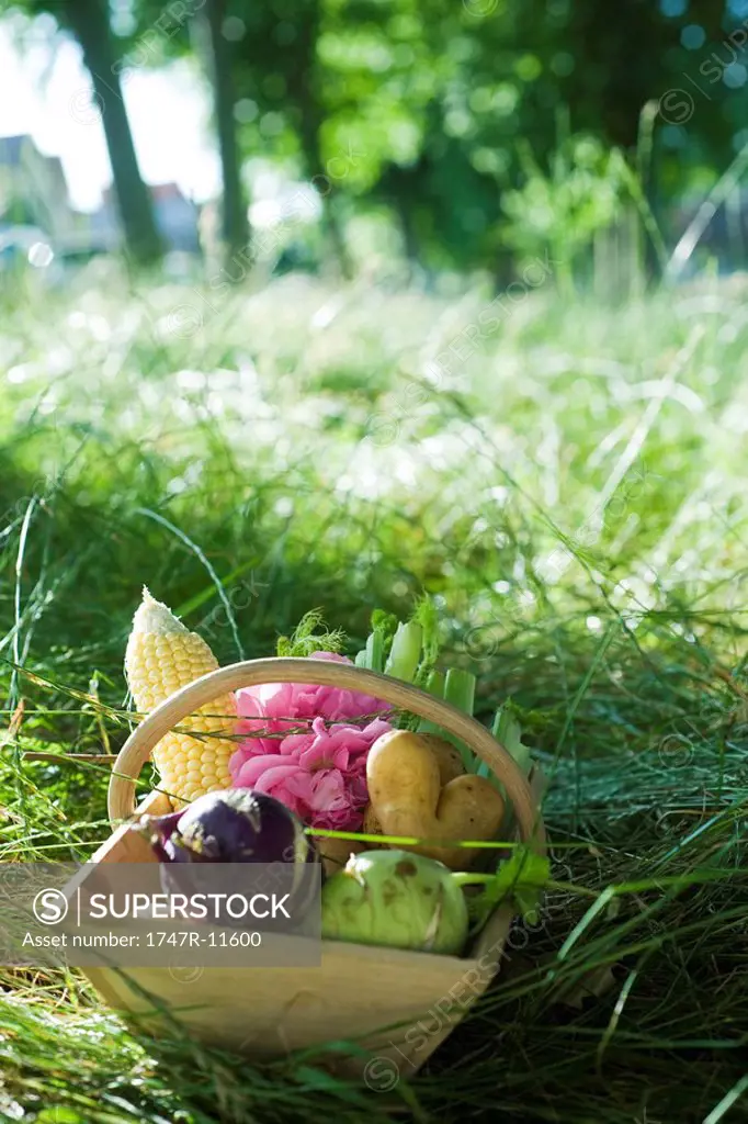 Wooden basket of vegetables on the ground, grass and trees in background