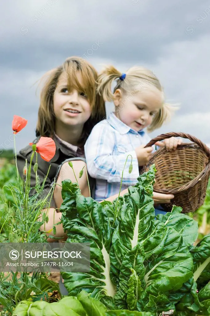 Sisters crouching by fresh lettuce in field, younger girl holding basket