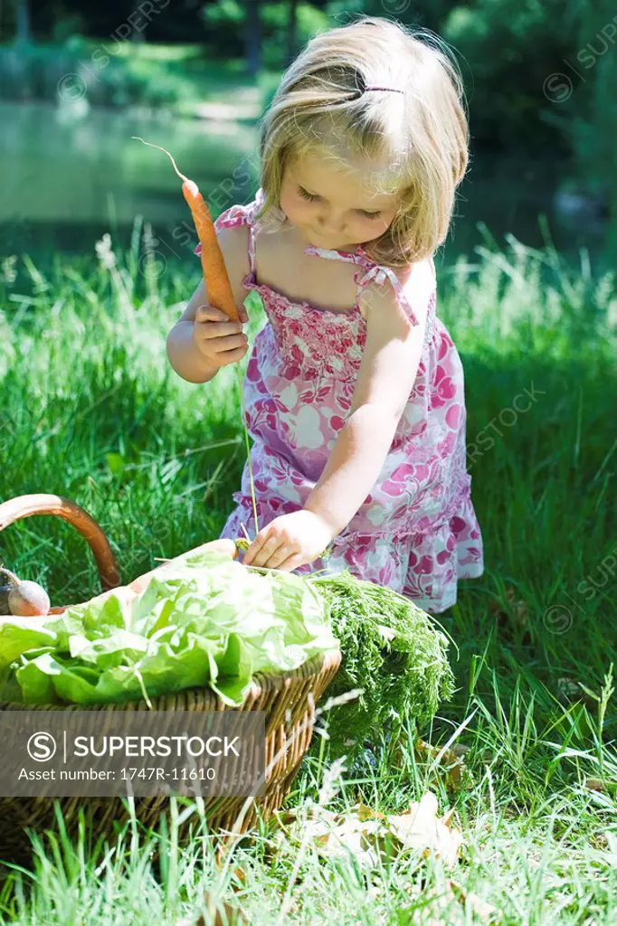 Little girl picking up carrots from basket of vegetables