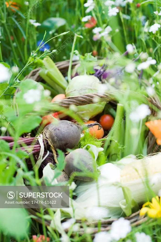 Basket of fresh produce in field of wildflowers