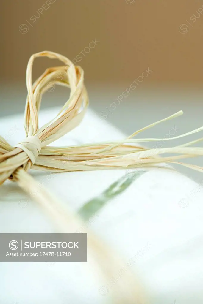 Wrapped gift with raffia bow, extreme close-up