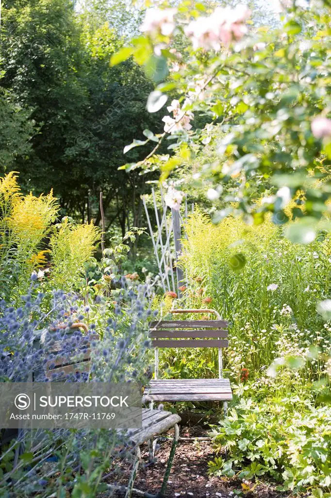 Chairs in flower garden