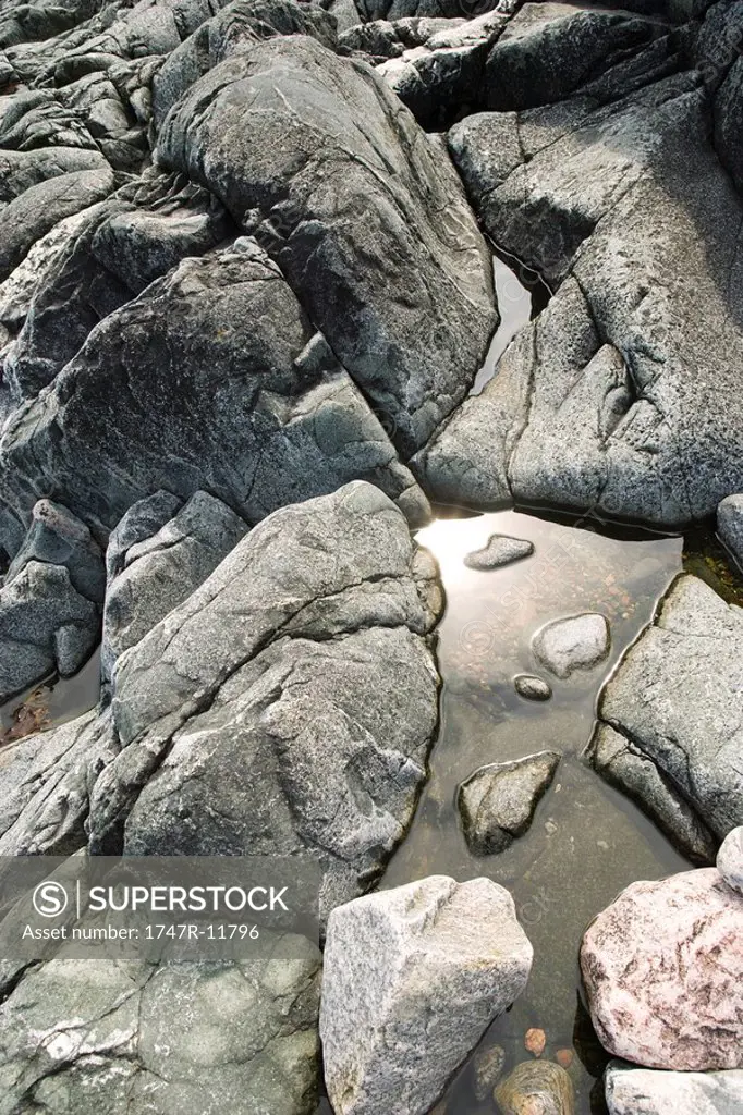 Water pooled on rocks