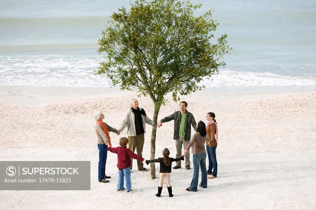 Group of people holding hands in circle around solitary tree on beach