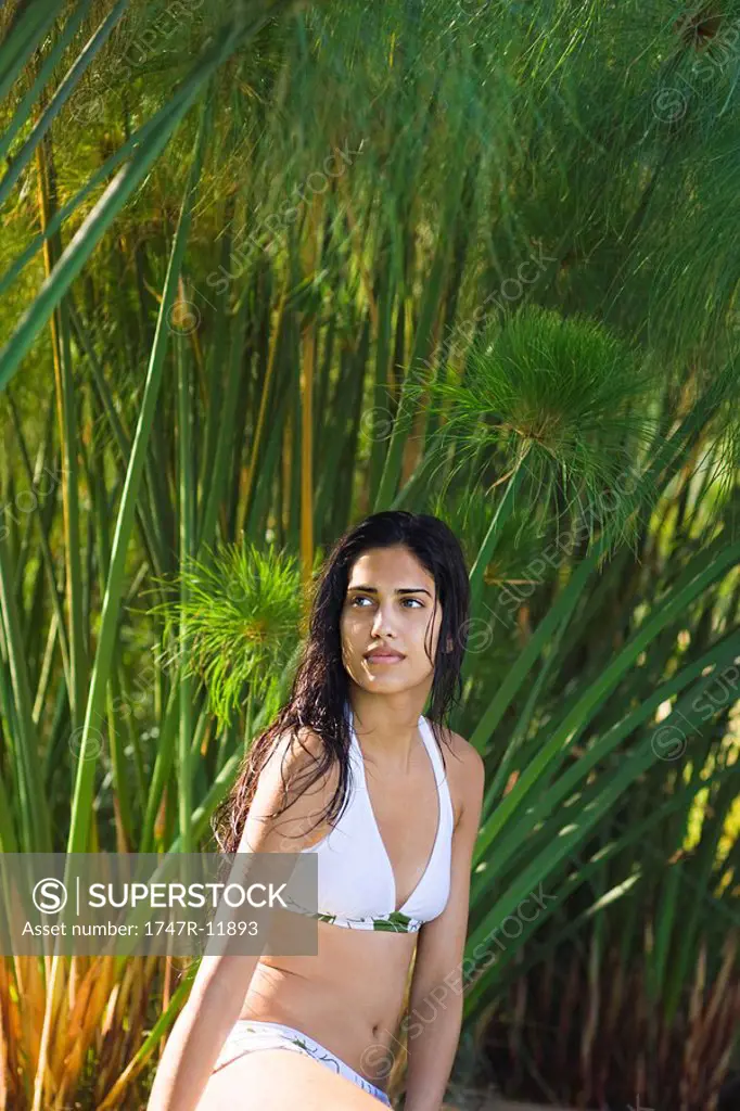Woman wearing bikini, posing in front of papyrus plants