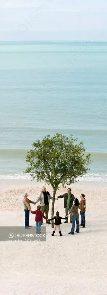 Group of people holding hands in circle around solitary tree on beach