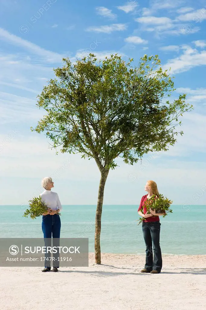 Two women holding cut branches, contemplating tree