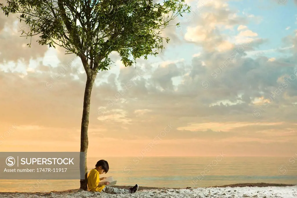 Boy sitting beneath tree on beach reading book