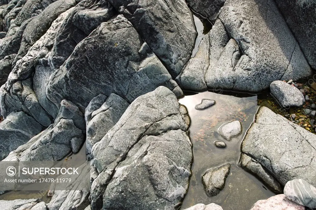 Water pooled on rocks