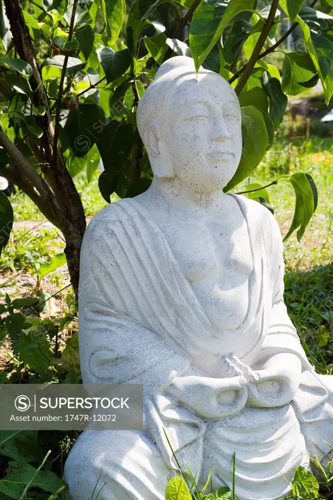 Statue of Buddha outdoors
