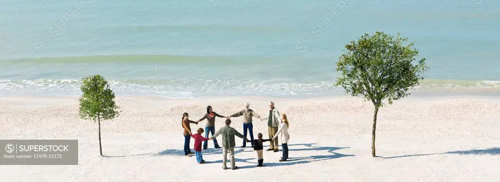 Group of people holding hands in circle between two trees on beach