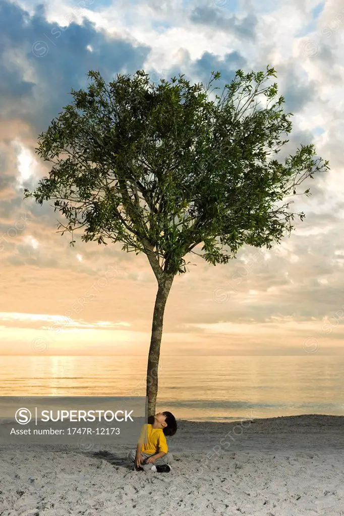 Boy sitting beneath tree on beach
