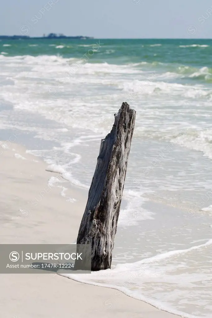 Driftwood sticking out of sand on beach
