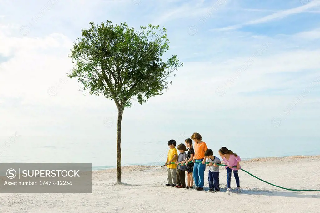 Ecology concept, children watering tree growing on beach