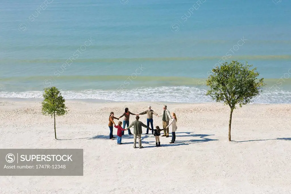 Group holding hands in circle on beach between two trees
