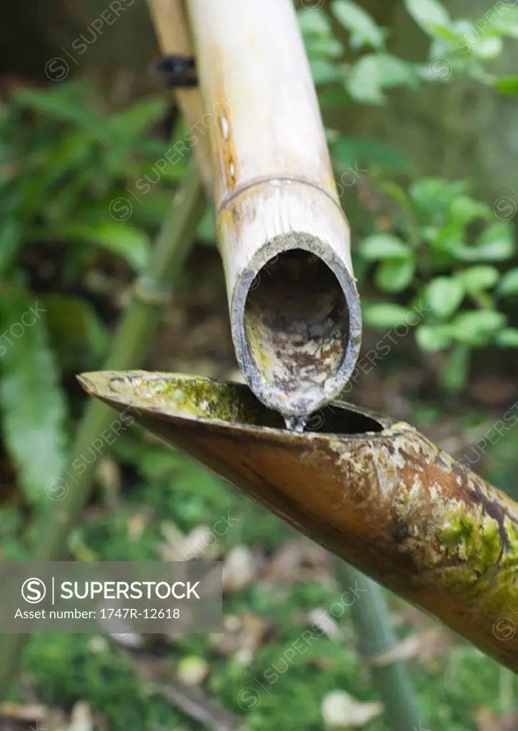 Bamboo water pipes