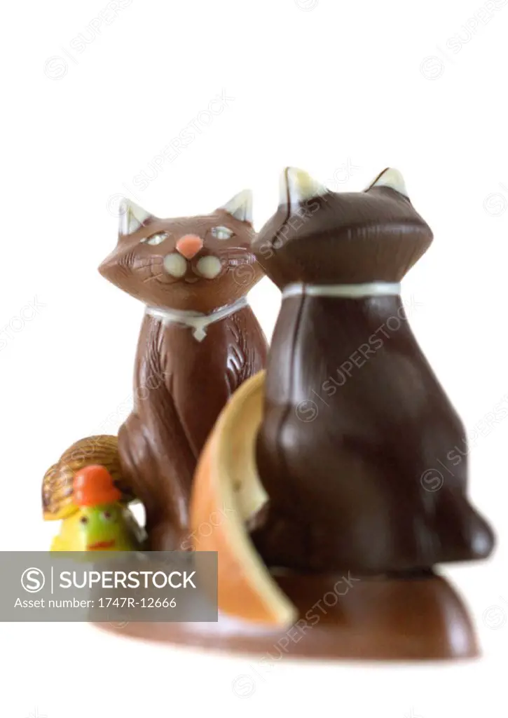 Chocolate cats and snail