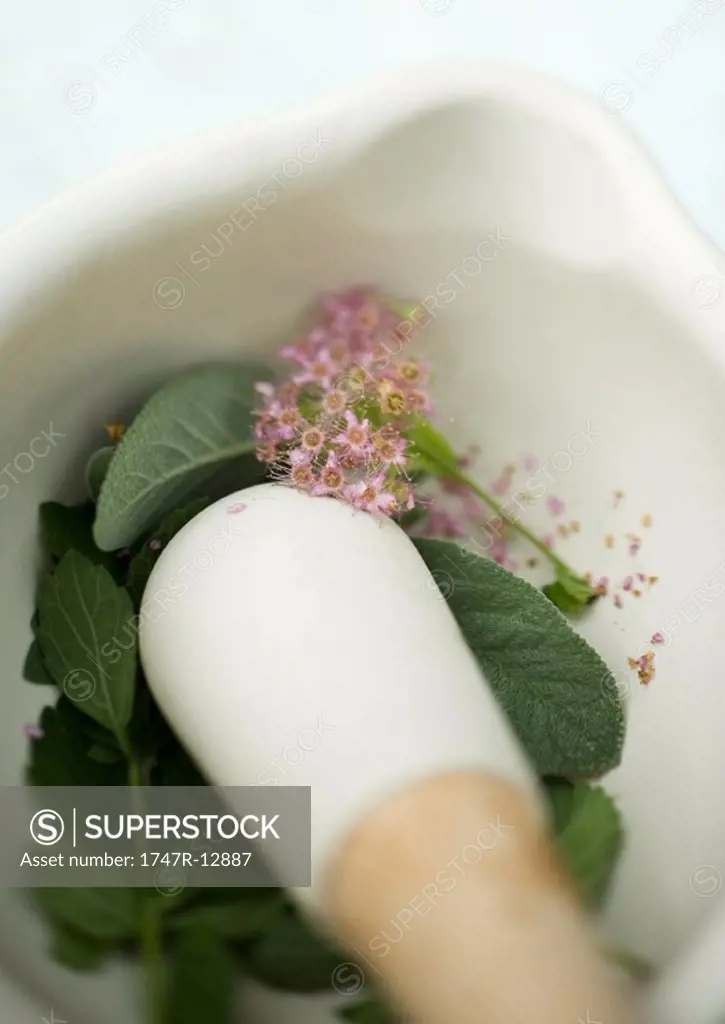 Mortar and pestle with herb leaves and flowers