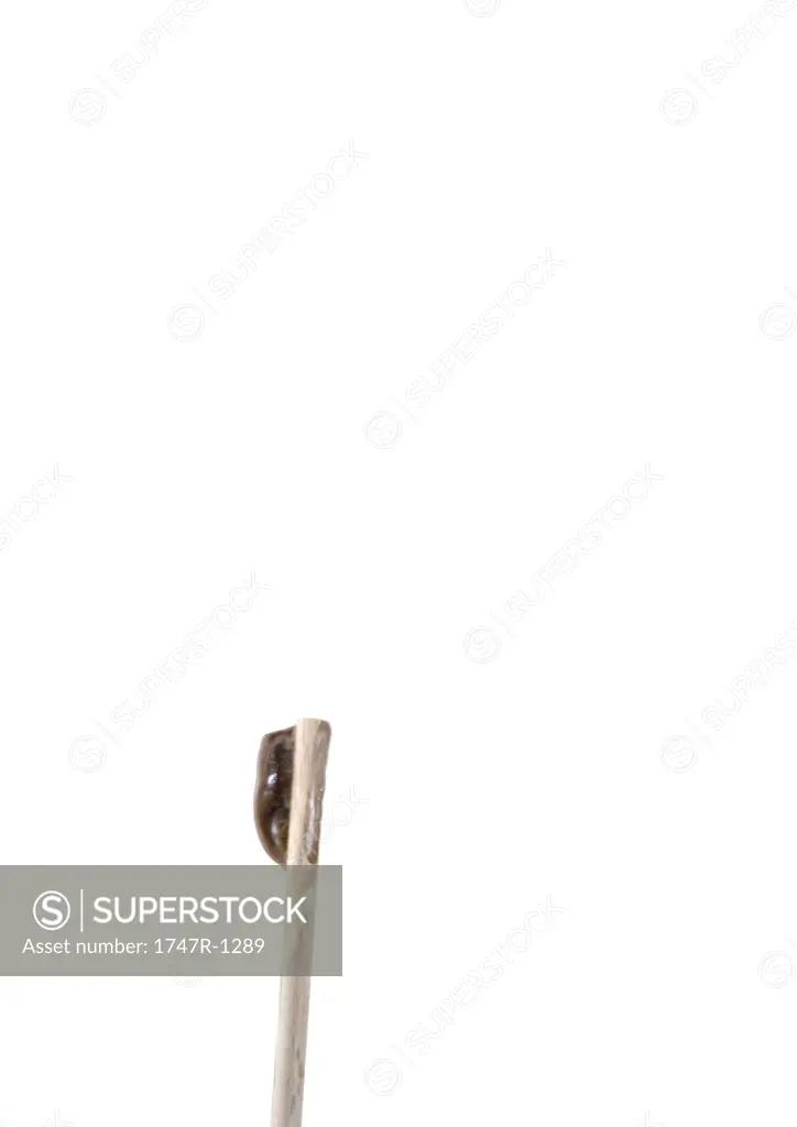Lolipop stick