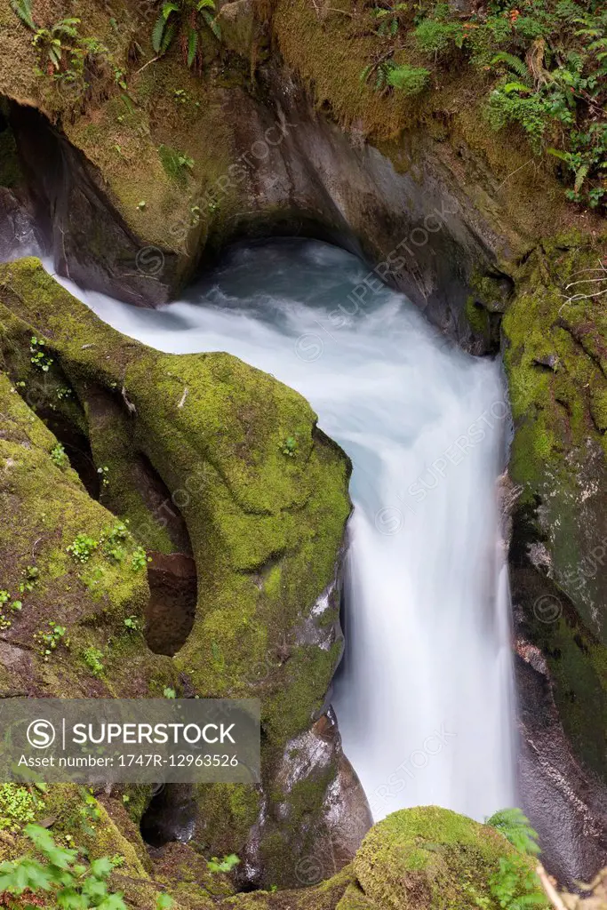 Small waterfall in North Cascades National Park, Washington, USA