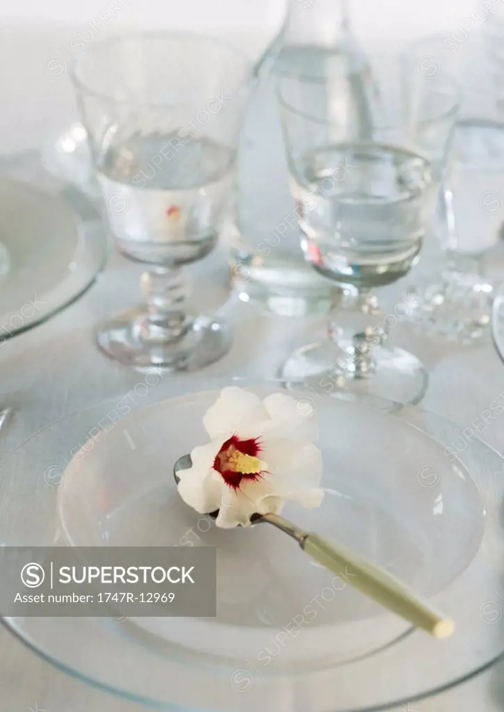 Place setting with hibiscus flower